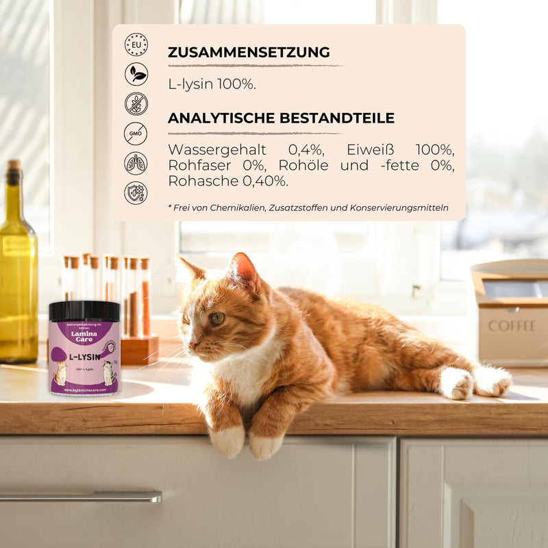 Lamina Care - L Lysine Cat as a remedy for cat colds, natural L-Lysine strengthens the cat's immune system, L Lysine powder with a pleasant taste and easy to incorporate into daily food - BeesActive Australia