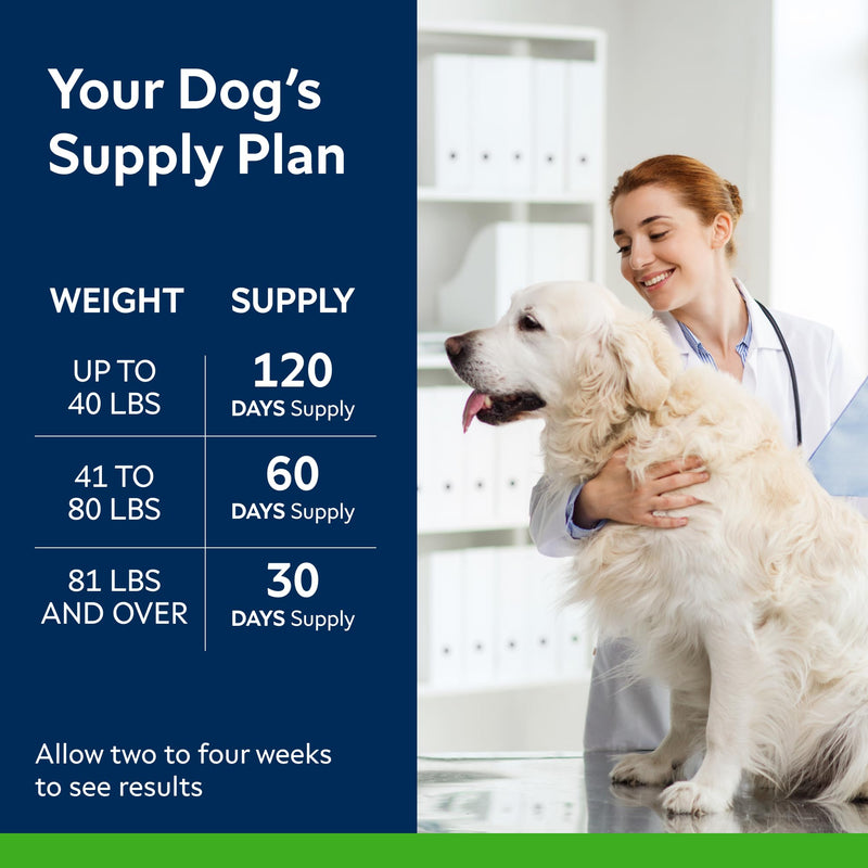 STRELLALAB No Poo Chews for Dogs - Coprophagia Stool Eating Deterrent - No Poop Eating for Dogs - Digestive Enzymes - Gut Health & Immune Support - Stop Eating Poop - Chicken Liver Flavor 120Chews 120Ct No Poo Chews - BeesActive Australia