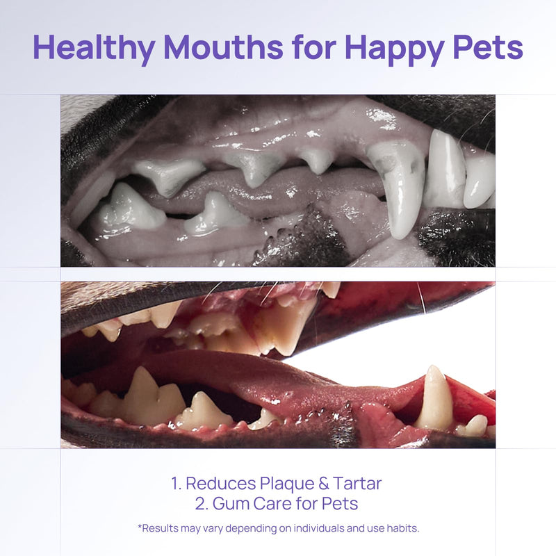 HICC PET Dog Dental Gel for Fresh Breath, No-Brush Teeth Cleaning Gel for Dogs & Cats, Plaque and Tartar Remover for Canine Oral Care, Gentle Gum Health Support, 60ml