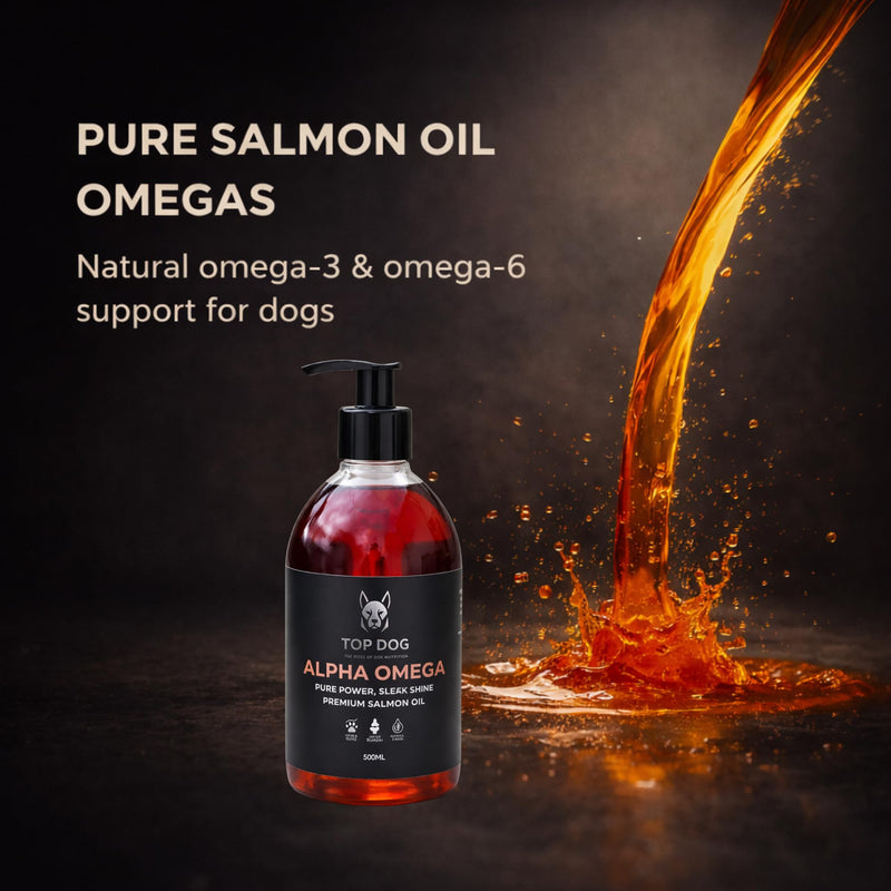 Alpha Omega Premium Salmon Oil for Dogs – Skin & Coat Support