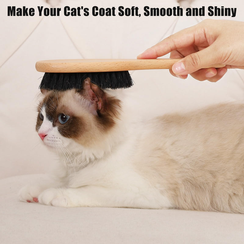 Boar Bristle Cat Brush with Wooden Handle, Soft and Gentle, Reduce Shedding, Make Coat Soft, Smooth and Shinny, Daily Grooming Tool for Short Haired Cats, Kitten Wood - BeesActive Australia