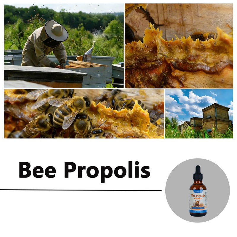 Accretion Bee Propolis for Dogs & Cats, 2 fl oz, Dental Defense & Respiratory Health, Supports Seasonal Immunity & Immune System, Natural Oral Care Supplement