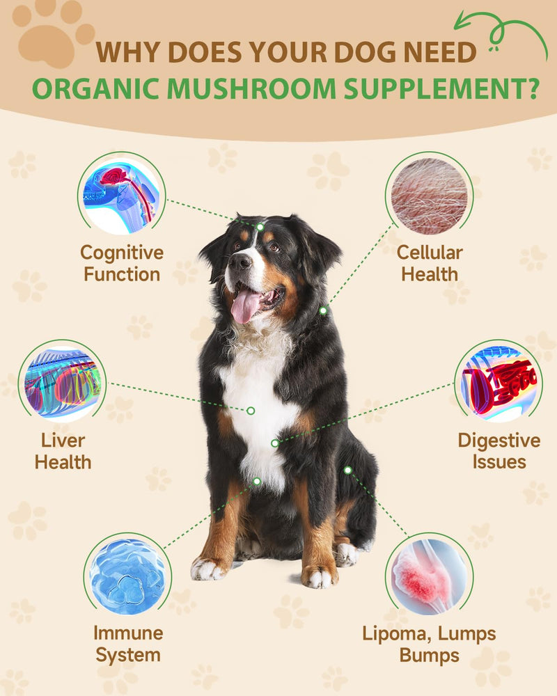 9 in 1 Mushroom Supplement for Dogs - Digestive, Cellular, Immune Health Support, Mushroom Immune Dog Chews Turkey Tail Mushroom for Dogs - Gut, Skin, Joint, Immune Health- Dog Lumps & Bumps