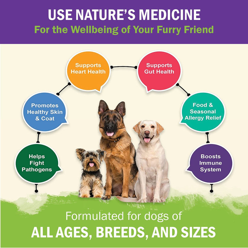 ZENAPET Allergy Immune Support Supplement for Dogs, Superfood 100% Human-Grade with Turkey Tail Mushroom, Prebiotics for Gut Health, Itchy Skin, Seasonal Allergies & Yeast - for Small to Large Breeds 6.34 1 Pack - PawsPlanet Australia