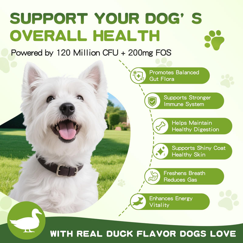 Dog Probiotics + Multivitamin Supplement, 15 in 1 Probiotic Chews for Dogs with Glucosamine Cranberry - 150 Soft Chews, Duck Flavor, Digestive Health, Diarrhea, Allergies, Joint Support, Immune System