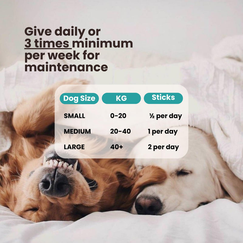 Dog Anxiety Relief & Hydration Powder – Calm Hyperactive Behavior & Relax Nervous Dogs Safely – with Natural Chamomile, Ashwagandha & Collagen (30 Day Supply) - Upto 20kg Dog Calming Pouch of 5