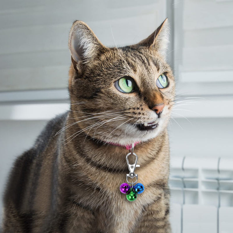 Cat Collar Bells Loud Dog Bell Training Charm Pendants for Pet Puppy Kitty Necklace Collar 5 PCS Colorful - BeesActive Australia