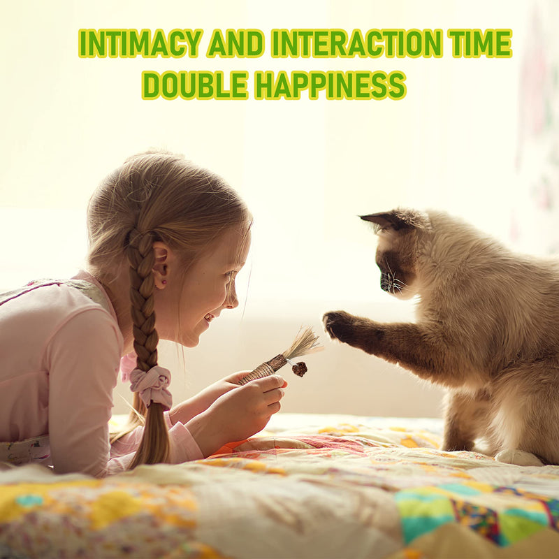 BAWAN Catnip Toys‖ Silvervine for Cats: Cute Cat & Kitten Toys for Indoor Cats Interactive‖ Cat & Kitten Teething Chew Toys for Aggressive Chewers‖ Silvervine Sticks Cat Dental Toy (3PCS) 3PCS - BeesActive Australia