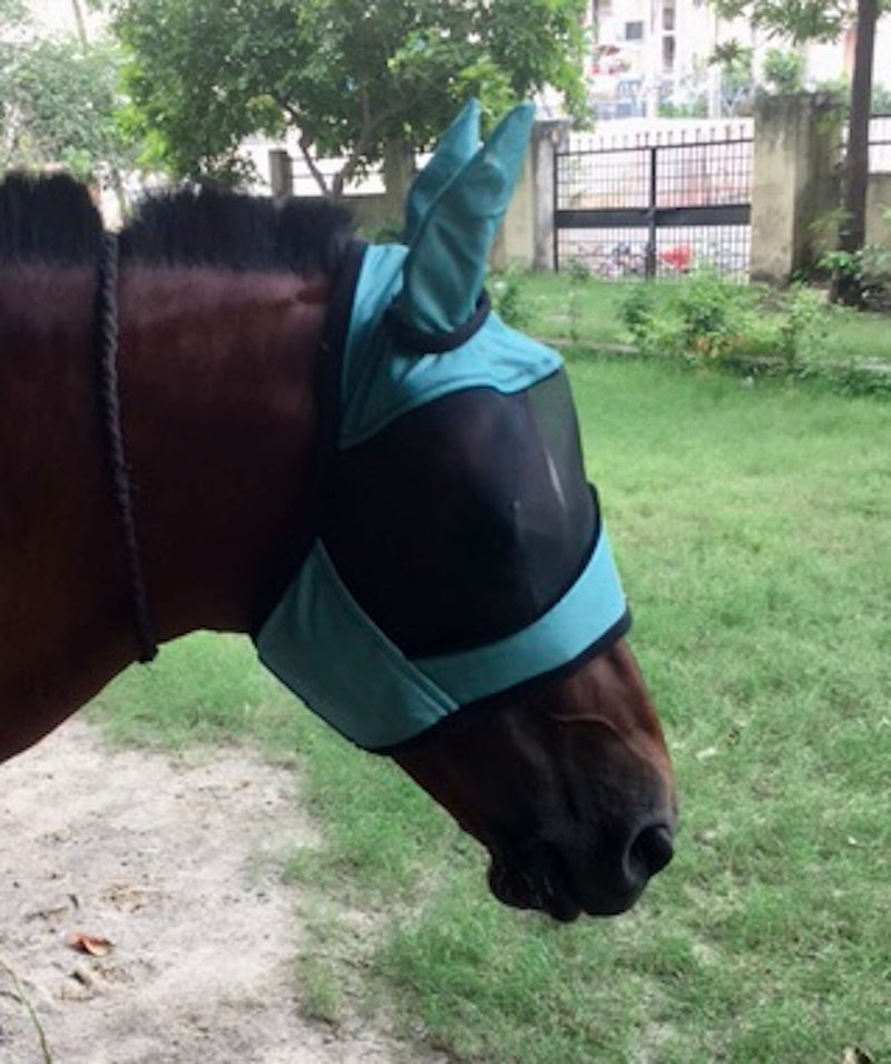 Majestic Ally Horse Fly Mask with Ears, Comfort Durable Fine Mesh, Soft Fleece Touch on Skin, Protect Eyes and Ears (Turquoise) Turquoise - BeesActive Australia