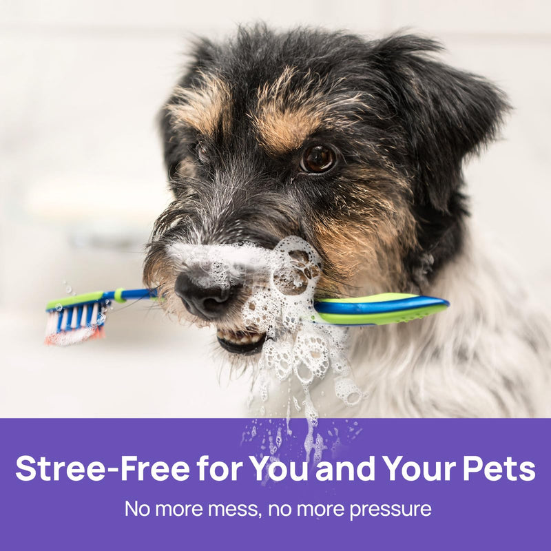 Oral Care Spray for Dogs and Cats, Anti Inflammatory Pet Breath Dental Care Spray, Dog Gingivitis Treatment, Fight Bad Breath Caused by Plaque and Gum Redness, Dog Tooth Brushing Kit, 5.1 Fl Oz - PawsPlanet Australia