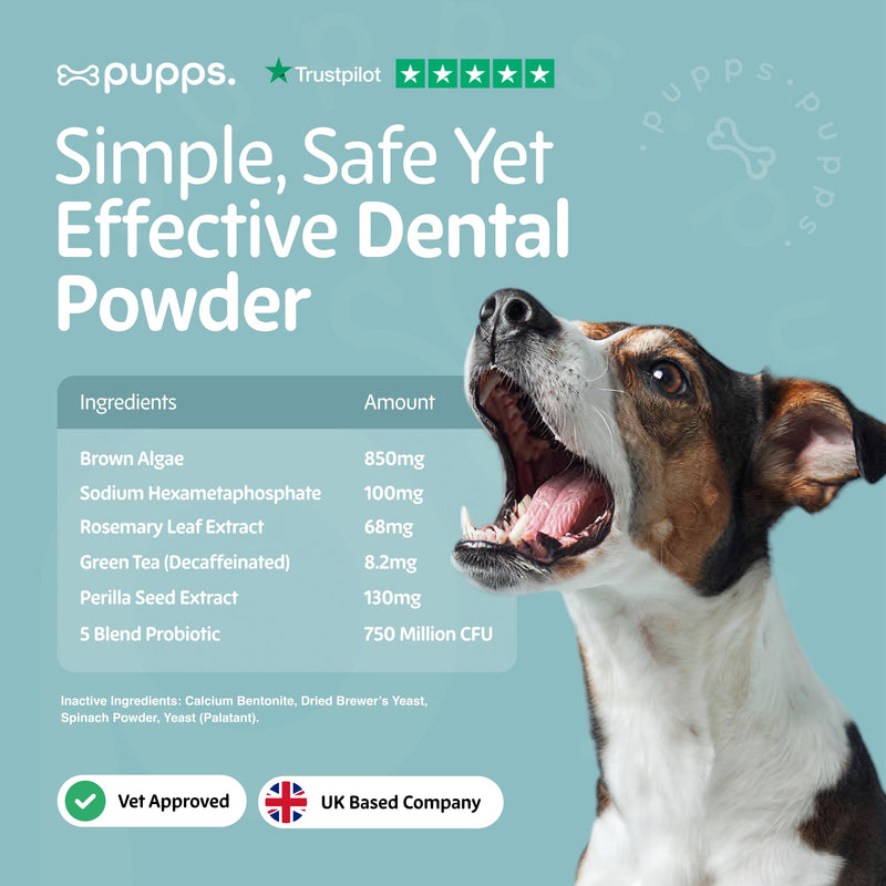 Pupps Dental Powder for Dogs 90g – Plaque & Tartar Support | Freshens Breath Naturally | Toothpaste & Toothbrush Alternative | Just Sprinkle on Food | Vet Approved, UK Made