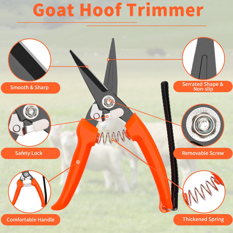 Goat Hoof Trimming Shears, 8Inch Double-Sided Hoof File/Goat Hoof Trimmer for Sheep/Storage Bag, Hoof Rasp Kit for Lamb - BeesActive Australia