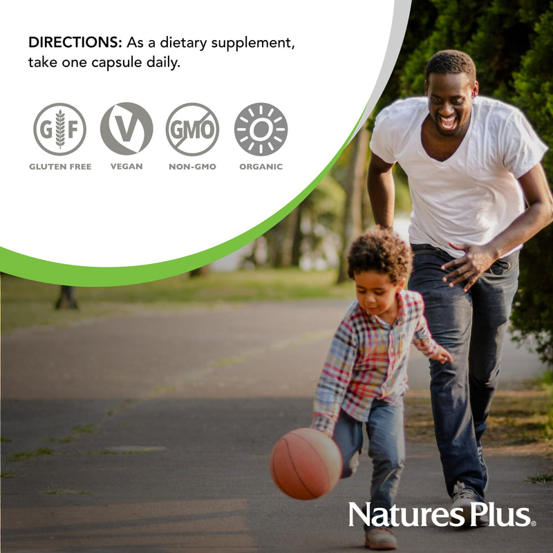 NaturesPlus Source of Life Garden Vitamin K2 - 60 Capsules - Supports Healthy Bones - USDA Certified Organic, Non-GMO, Vegan, Gluten Free - 60 Servings 60 Count (Pack of 1)
