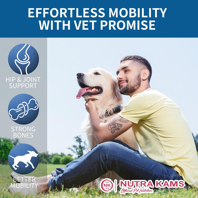 Hip & Joint Chews for Dogs, Advanced Mobility Support with Glucosamine & MSM, Natural Lamb Flavor, 120 Soft Chews