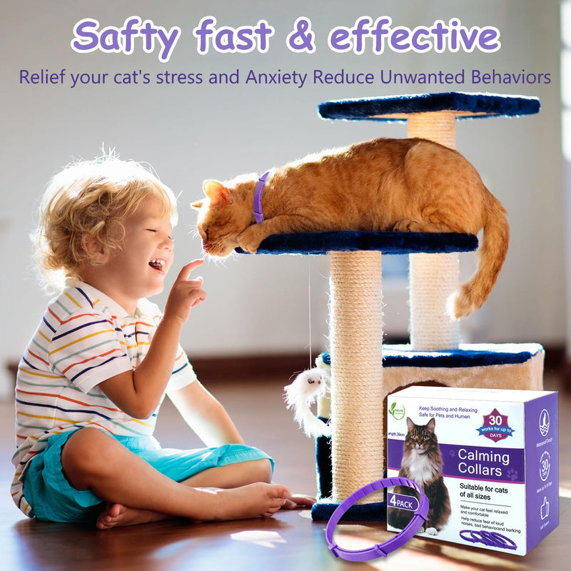Calming Collar for Cats 4-Pack Cat Calming Collar Adjustable Soother Anxiety Relief Waterproof cat Calming Products 30-Day Stress Relief (Purple) purple