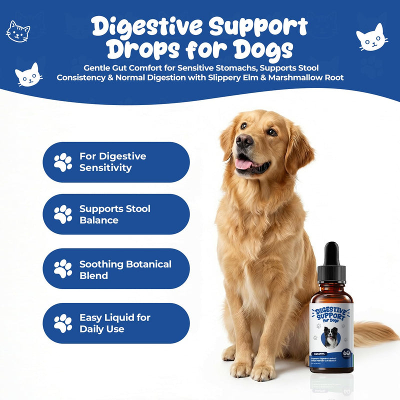 Digestive Support Drops for Dogs, Homeopathic GI Relief for Diarrhea, Constipation & Gas, Liquid Formula for Sensitive Stomachs, 2 fl oz (60 mL)