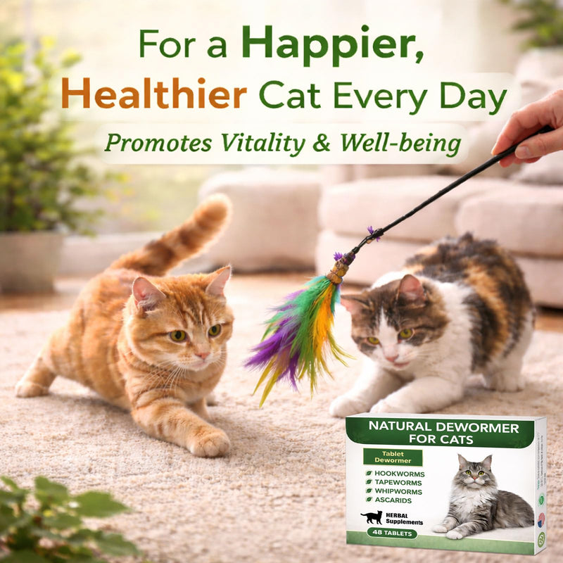 Dewormer for Cats – Cat Dewormer Broad-Spectrum for Tapeworms, Hookworms, Whipworms, Supports Digestive Health, 48 pcs