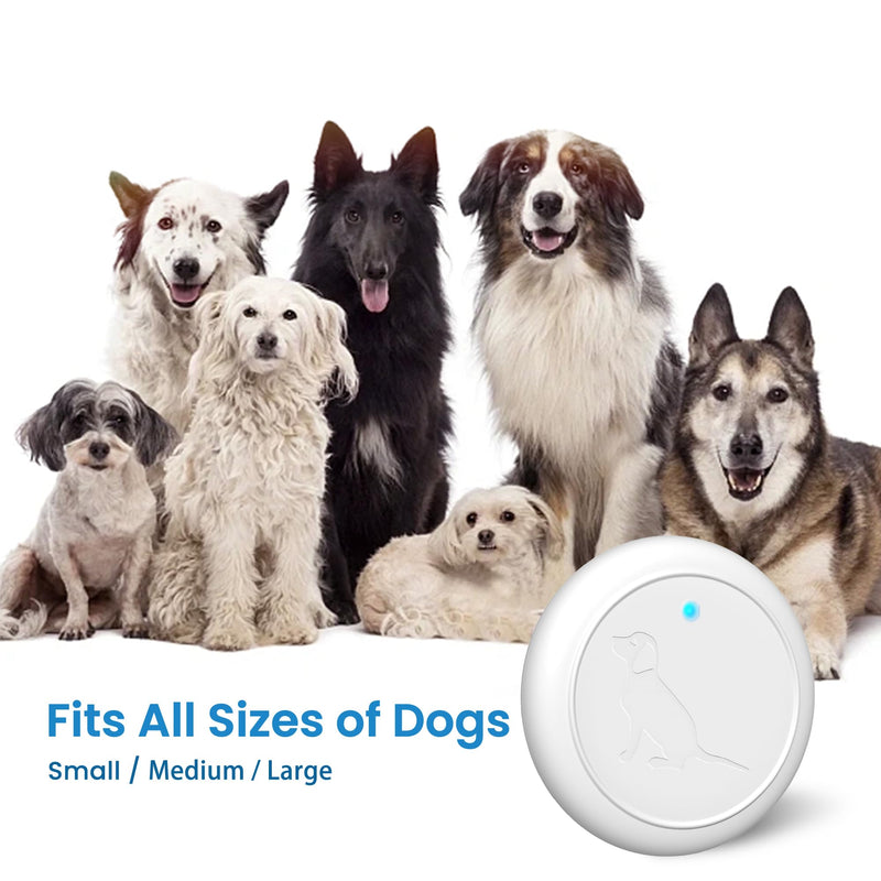 Dog Bell for Door Potty Training, Wireless Doggie Door Bell Operating at 1000 Feet with IP65 Waterproof Touch Button, 32 Melodies 1 receiver + 2 buttons - BeesActive Australia