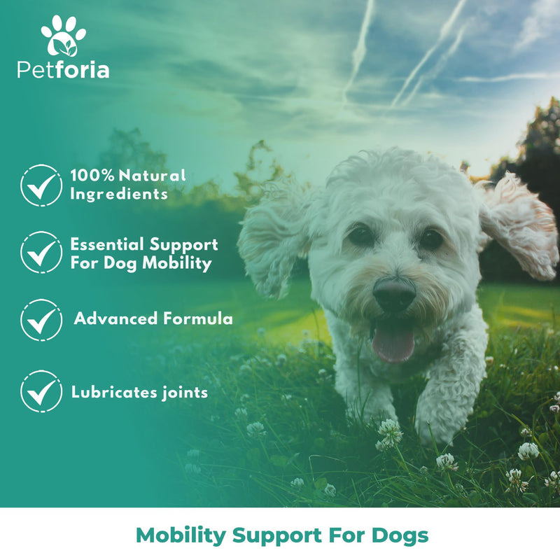 Dog Mobility Support | Support Mobility and Flexibility | Dog Mobility Comfort | Natural | Active Formula | Devils Claw For Dogs 50ML - Pack of 1