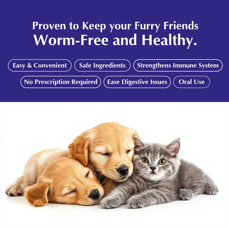 No More Worms in Cats and Dogs- Dewormer for Cats and Dewormer for Dogs - Chicken and Milk Flavours 120 mL / 4 oz Glass Bottle – Includes 3 mL Dropper with Cap (Chicken Flavor) Chicken Flavor