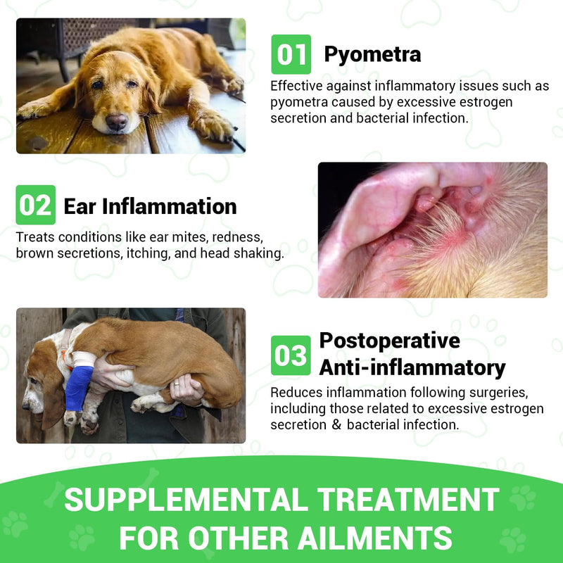 Milk Thistle for Dogs - Liver & Kidney Support, Natural Detox & Hepatic Health, with Wild Alaskan Salmon Oil & Curcumin, Omega 3 and Silymarins - Veterinarian-Formulated Herbal Supplement 2 Oz (2Pack) 2 Pack