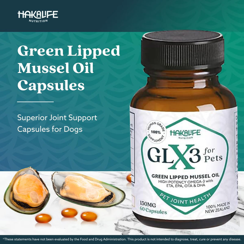 GLX3 Green Lipped Mussel Oil for Dogs | Joint & Hip Comfort Omega-3 Supplement | Ideal for All Dog Breeds and Ages | 1 Month Supply, 60 Soft Chews w/Natural Ingredients 1 pack - PawsPlanet Australia