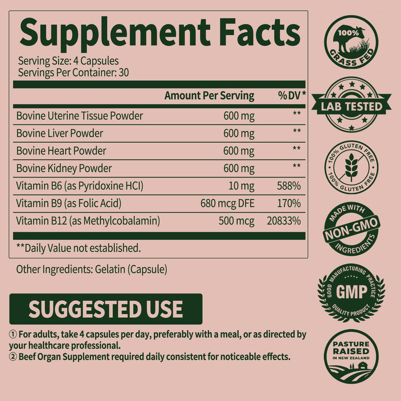 (2 Packs) Beef Organ Supplement for Women with Vitamin B Complex | Female Beef Organ Supplement Complex Capsules Made in USA, 100% Grass Fed, Gluten Free, Non-GMO