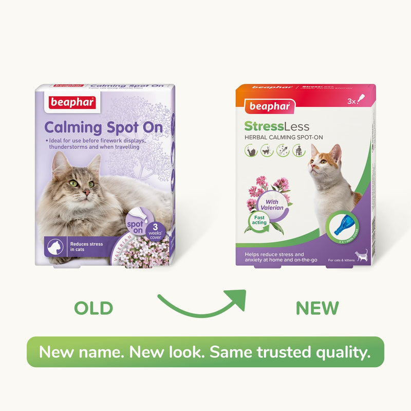 Beaphar – StressLess Herbal Calming Spot-On for Cats – Reduces Stress & Anxiety at Home and On-the-Go – With Valerian Extract – For Cats & Kittens – 3 x 1 Week Doses –Easy-to-Use Spot-On Pipettes 3 Count (Pack of 1)