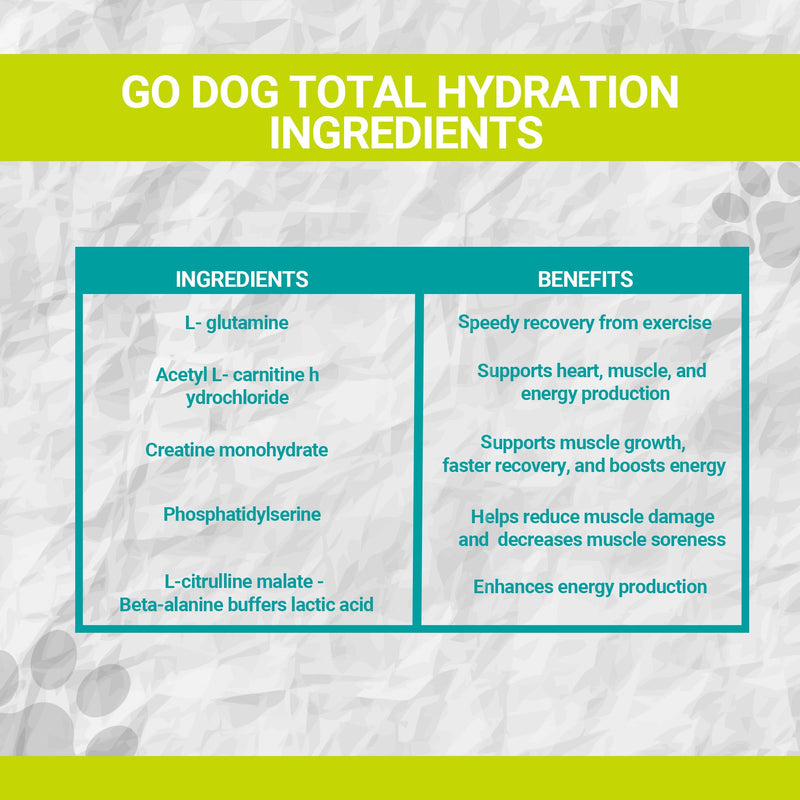 K9 Power Go Dog Hydration & Performance Drink Mix 1 lb - Active Dog Supplement for Muscle Function, Endurance, Recovery, with Electrolytes Support - PawsPlanet Australia