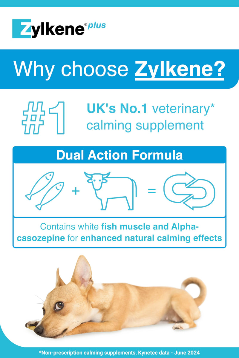 Zylkene Plus Calming Supplement for Cats & Dogs up to 10kg | Promotes Relaxation in long-term challenging situations: New baby, Home Alone, Moving house | Easily administered | 30 capsules Cats & Small Dogs