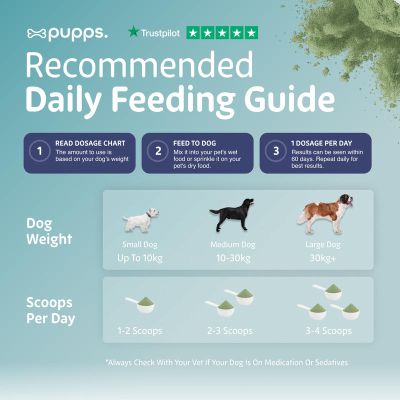 Pupps Dental Powder for Dogs 90g – Plaque & Tartar Support | Freshens Breath Naturally | Toothpaste & Toothbrush Alternative | Just Sprinkle on Food | Vet Approved, UK Made