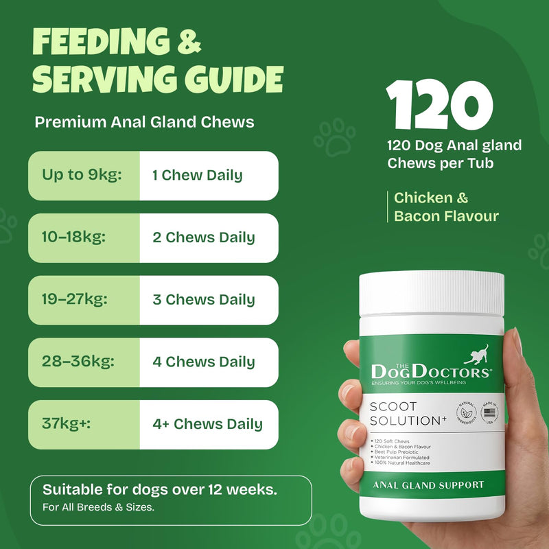 The Dog Doctors Scoot Solutions 120 Soft Chews – Digestive Chews for Dogs – Fibre Blend Soft Chews for Digestive Health, Gut Balance & Dog Anal Gland Support 120 count (Pack of 1)