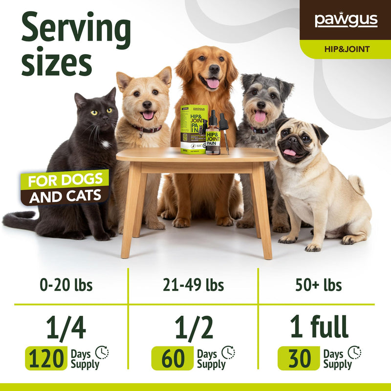 Hip and Joint Support for Cats Dogs Canine - Multi-Ingredient Joint Formula Pain Relief with Glucosamine, Chondroitin, Boswellia, MSM, Hyaluronic Acid - Mobility Lubrication, Stiffness Relief