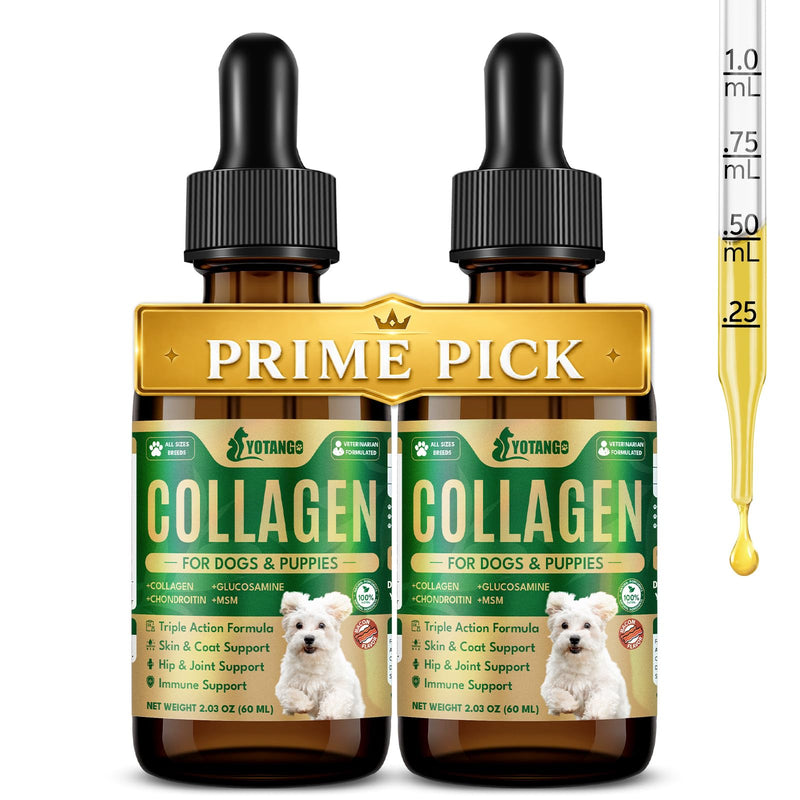 Liquid Collagen for Dogs, Natural Dog Collagen for Skin & Coat Support, Immune Support, Joint & Mobility Care with MSM, Middle-Aged and Older Dogs (Bacon Flavor - 60ml 2 Pack)