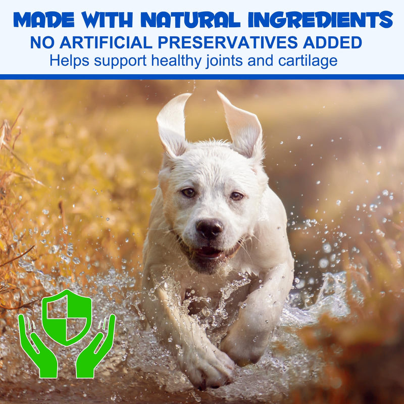 Joint Support Drops for Dogs – 60 ml X 2 | With Glucosamine & Natural Botanicals | Helps Maintain Mobility, Flexibility & Joint Comfort | For Active & Senior Dogs