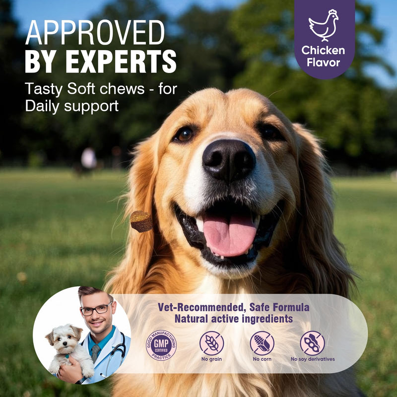 Dog Allergy Chews 200ct - Dog Allergy and Itching Skin Relief Anti Itch Aller Immune Bites for Dogs licking Paws Treatment Relief Itchy Chew Probiotics Vitamins for Skin and Coat Allergies - Chicken 2 g/capsule 200pcs