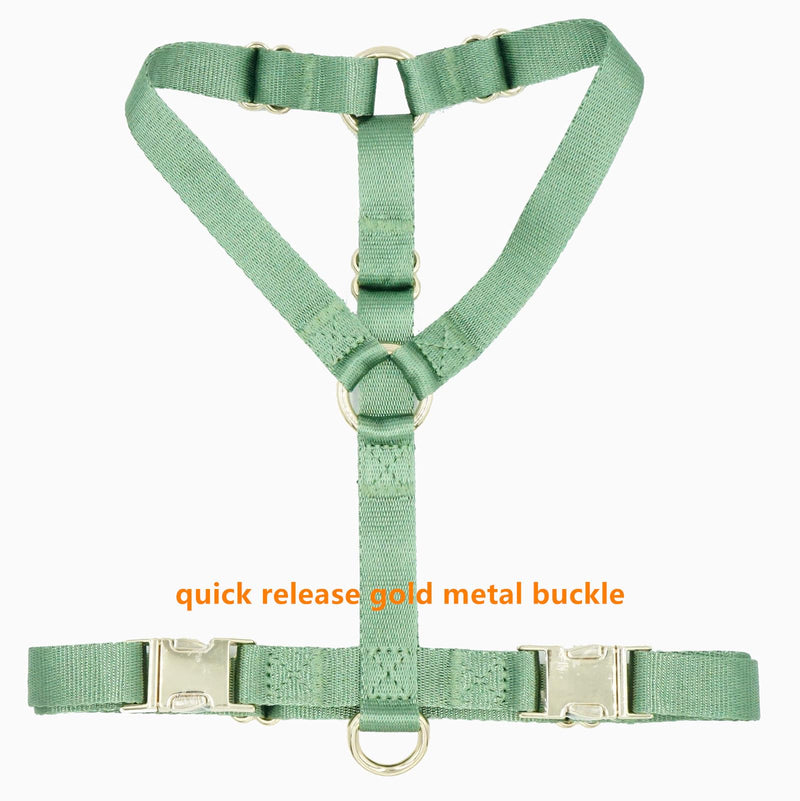 Nylon No Pull Dog Harness with Gold Metal Buckles,Easy Walking and Training Dog Harness (Sage Green, L) Sage green - BeesActive Australia