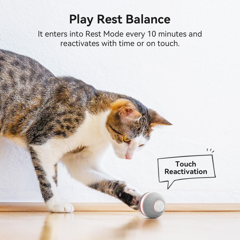 Cheerble Smart Interactive Cat Toy, Automatic Moving Bouncing Rolling Ball for Indoor Cat Kitten, Peppy Pet Ball with Lights and Bell, Grey - BeesActive Australia