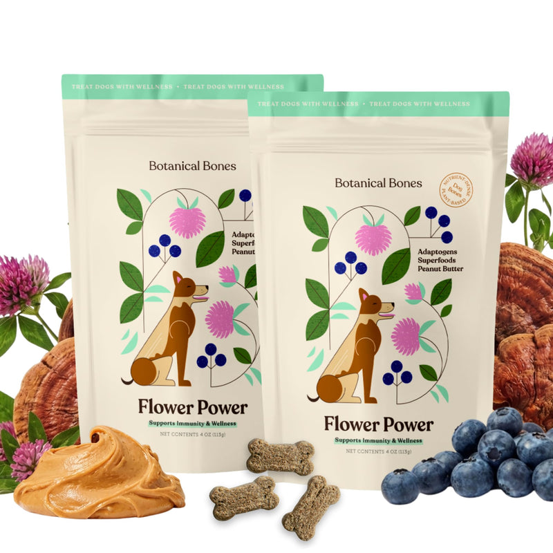 Flower Power Healthy Dog Treats - Mushroom Supplement Chews for Dogs with Reishi Mushroom & Antioxidants - Vet Formulated Vegan Peanut Butter Treats, 2 Pack Flower Power 4 Ounce (Pack of 2)