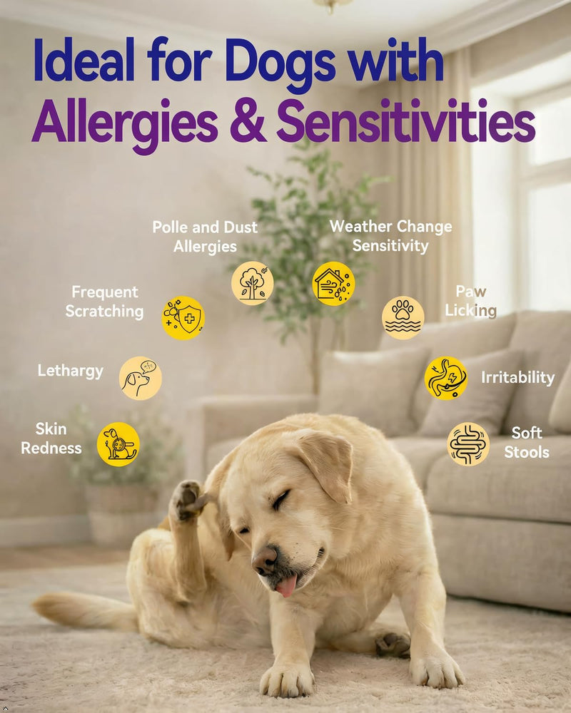 Dog Allergy Relief Chews with Quercetin, Colostrum & Probiotics, 120ct | Daily Allergy & Immune Support for Dogs, Supports Normal Histamine Response, Skin & Coat Comfort, Gut Health