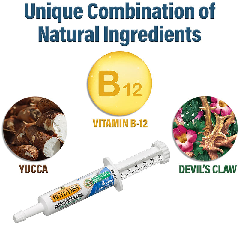 Absorbine Bute-Less Long-Term Horse Comfort & Recovery Supplement Paste, Gentle on Stomach, Devil’s Claw, Vitamin B-12, Yucca, 1oz Syringe / 3 Doses 1 oz