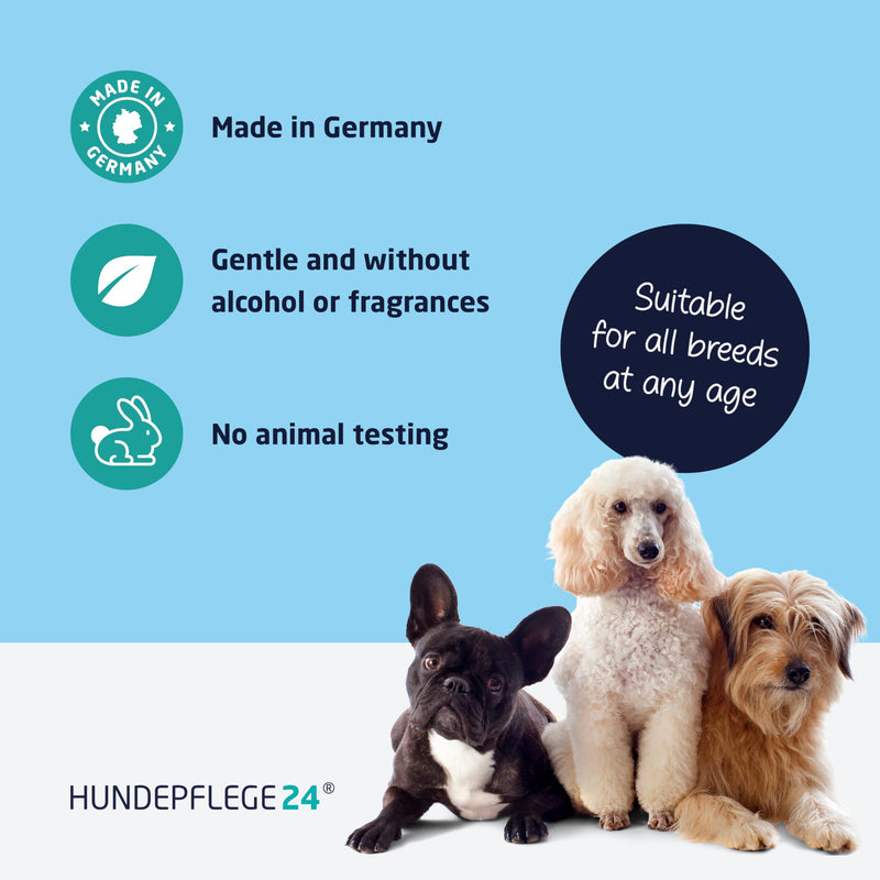 Dog Antiseptic Spray [No-Burn Formula] - Fast Healing, Soothing & Nourishing | Dog Wound Care 100% Vegan, 0% Odour & Alcohol - Dog Wound Spray Made In Germany - 125ml