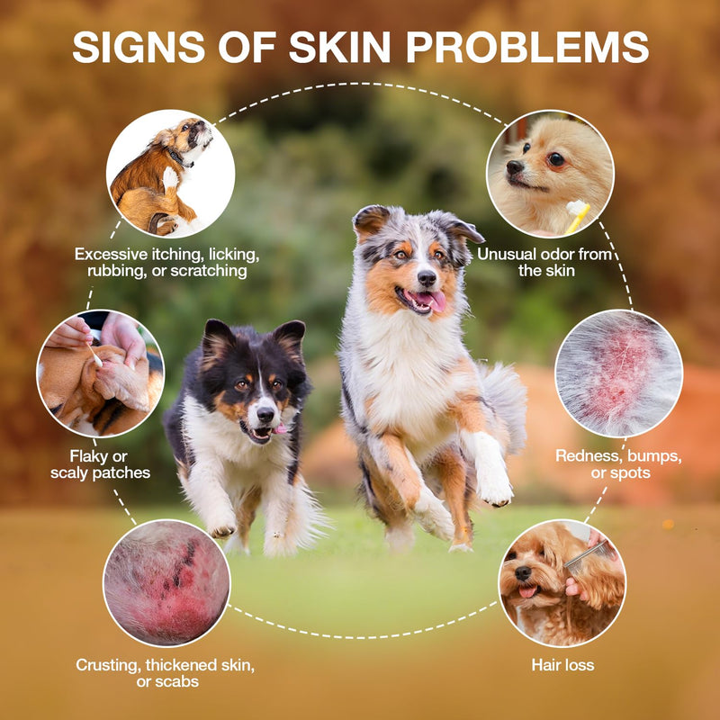 Yeast Infection Treatment for Dogs - Natural Yeast Relief for Dogs - Anti-Yeast Drops for Itchy Ears, Paws & Skin Allergy Relief, Herbal Supplement for Dog, 2 FL OZ Bacon Flavor