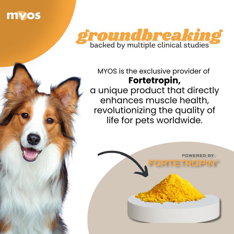 MYOS Canine Muscle Formula - All-Natural Muscle Building Supplement - Helps Reduce Muscle Loss in Aging Dogs and Improve Recovery from Injury or Surgery 6.35oz