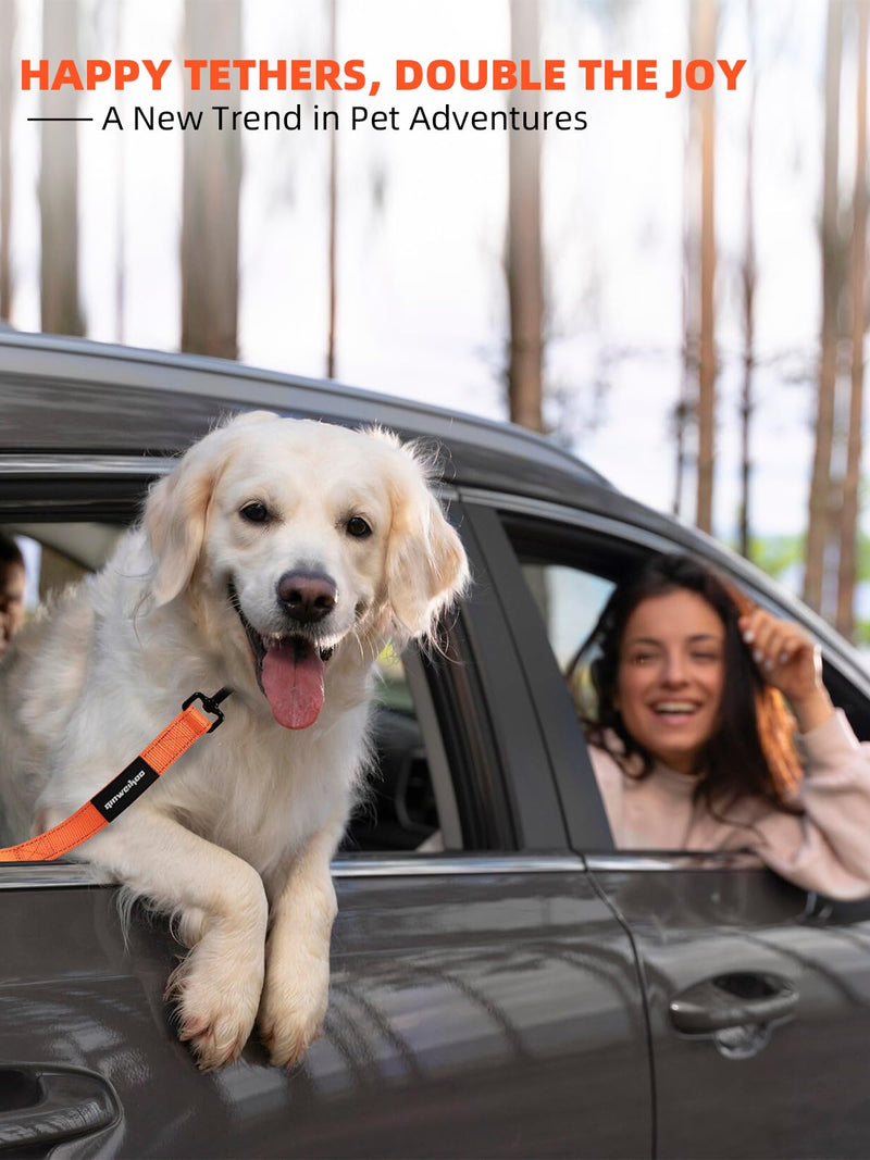 Heavy Duty Double-Handle Dog Leash with Reflective Design,4~6FT No-Pull Dog Leash for Medium to Large Dogs,Traffic Handle and Retractable Car Safety Harness with Elastic Bungee Leash. - BeesActive Australia