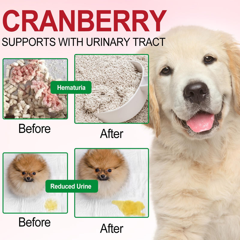 Bladder & Kidney Support for Dogs, Urinary Tract treatment and Bladder Control Supplement, Soft Chews with Cranberry and D-Mannose, Natural Immune System Booster - Peking Duck Flavor (60Pcs)