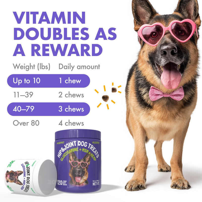 Hemp Hip & Joint Supplement for Dogs Soft Chews Made in USA Functional Glucosamine for Dogs Chondroitin MSM Turmeric Hemp Seed Oil Natural Pain Relief Mobility Advanced Joint 120 Treats Hip&Joint