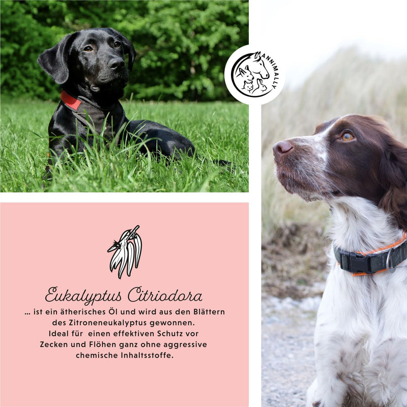 Annimally Flea and Tick Protection Spot ON for Dogs - Effective Tick Treatment for Dogs, 3 Months Long-Term Protection Flea Treatment & Tick Protection - (4-10kg) S: 4-10 kg - BeesActive Australia