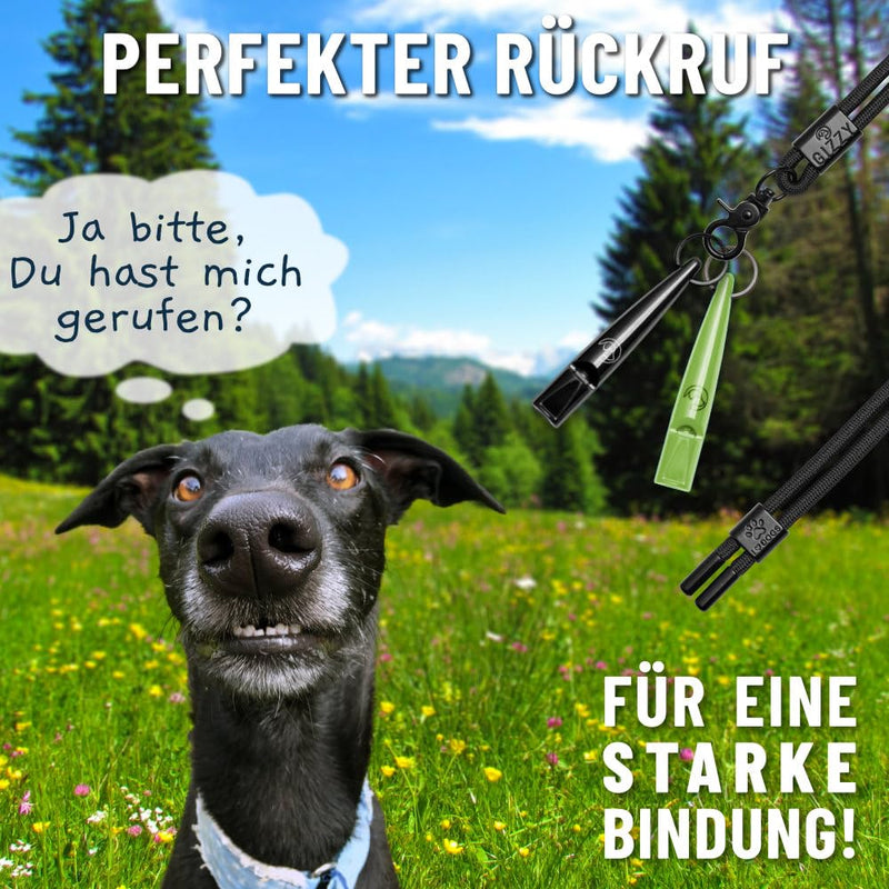 GIZZY® 2x dog whistle loud and far-reaching whistle sound I 2x dog whistles ideal as training aids for dogs I suitable for dog training barking or as a dog whistle recall I Incl. high-quality green/black ribbon - BeesActive Australia