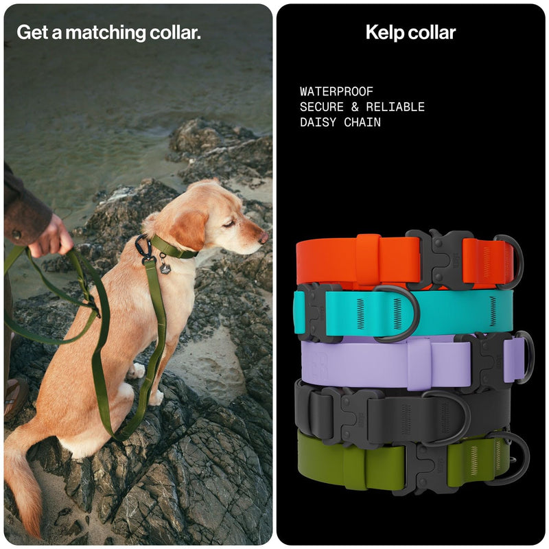 Säker Kelp™ Waterproof Dog Leash – Heavy Duty, Odor-Proof, Adjustable 4–6 ft Long Dog Leash with Twist-Lock Carabiner, 3 Traffic Handles, Hands-Free Option, Aluminum Hardware Trail Green